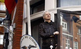 Ông Julian Assange xuất hiện trong tòa Đại sứ quán Ecuador tại Anh