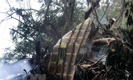 Hiện trường vụ rơi máy bay. (Nguồn: TTXVN)