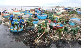 BẢN TIN THANH NIÊN: Ra quân Ngày tình nguyện làm sạch thế giới
