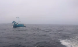 Hình ảnh "quái vật ba đầu" mà cảnh sát biển Phần Lan phải khó khăn điều tra, xác minh