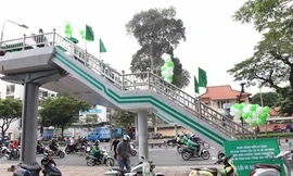 BẢN TIN THANH NIÊN: Chung tay tô điểm cầu vượt bộ