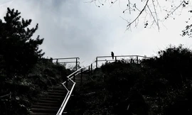 Các địa điểm nghỉ dưỡng tại Hakone (Nhật Bản) vừa được khuyến cáo tới khách du lịch hạn chế tới tham quan, do lo ngại nguy cơ núi lửa phun trào