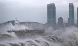 Tìm thấy thi thể thực tập sinh Việt Nam tại Nhật mất tích trong bão