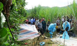 Nữ sinh 13 tuổi chết bí ẩn trong vườn mía