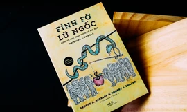 Ảnh chụp sách "Fỉnh fờ lũ ngốc"