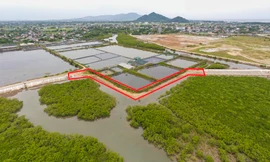 Lý do dự án xử lý cấp bách hơn 180 tỷ làm kiểu 'rùa bò' 