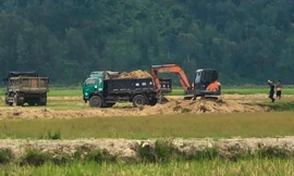 Lợi dụng cải tạo ruộng để bán đất nông nghiệp trục lợi