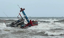 Thuyền câu mực chở 20 người chìm trên biển, 1 người chết