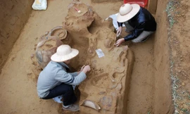 Không được bảo vệ, Di tích Quốc gia thành bãi hoang chăn bò