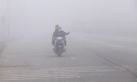 Sương mù dày đặc, đường phố Hà Tĩnh mờ mịt như ở Sa Pa 