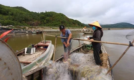 Ngư dân Hà Tĩnh vươn khơi thu 'lộc biển' sau đợt mưa lớn
