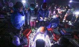 Chen chân rọi đèn pin đi chợ hải sản lúc trời chưa rạng