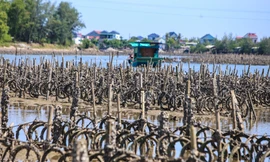 Tháo dỡ ‘ma trận’ hàng nghìn cọc bê tông trên lòng sông ở Hà Tĩnh 