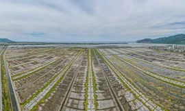 Xót cảnh nghề muối nổi tiếng mai một, cánh đồng bỏ hoang cỏ mọc um tùm