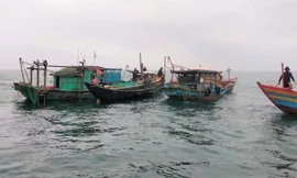 Tìm kiếm đôi vợ chồng mất tích khi ra khơi đánh cá 