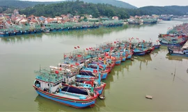 11 tỉnh miền Trung 'bắt tay' quản lý tàu cá, truy xuất nguồn gốc hải sản