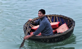  5-7 tiếng ra biển, ngư dân Hà Tĩnh kiếm hàng chục triệu đồng nhờ trúng đậm con ruốc 