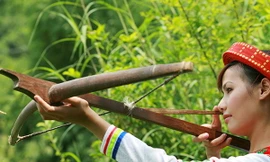 Hội thi thể thao các dân tộc thiểu số toàn quốc