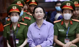 Tuần tới, Viện Kiểm sát luận tội bị cáo Trương Mỹ Lan và đồng phạm 