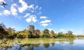 Thuần hóa 'thủy quái' trên dòng sông chảy ngược 