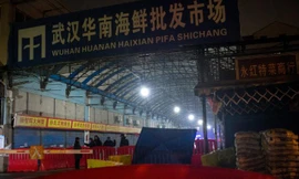 Chợ hải sản Hoa Nam, thành phố Vũ Hán, tỉnh Hồ Bắc, nơi bùng phát COVID-19, bị đóng cửa dài ngày 