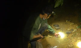 Anh Hà Thủy soi đèn bắt cua đá