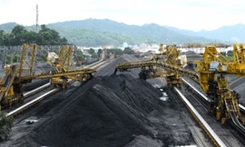 Lo thiếu than cho sản xuất điện