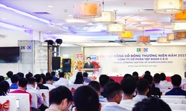 Những đại hội cổ đông dang dở