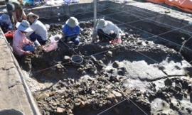 Nhiều phát hiện mới quan trọng góp phần hoàn thiện hồ sơ trình UNESCO công nhận Di sản văn hóa thế giới Óc Eo-Ba Thê và Nền Chùa