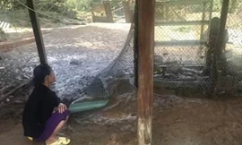 Nhiều hộ dân huyện miền núi Quảng Nam bị thiệt hại mưa bão năm 2020 nhưng đến nay vẫn chưa nhận được tiền hỗ trợ