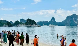 Quyết phủ sóng toàn bộ vịnh Hạ Long 
