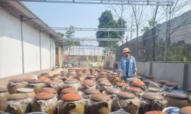 Về làng tương gần 200 năm danh tiếng 