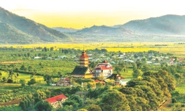 Đất trời 'hội tụ' bên đồi chè cổ thụ 