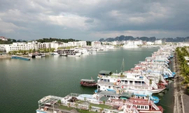 Sau gần 2 năm bị ảnh hưởng nặng nề bởi dịch COVID-19, hàng loạt chủ tàu đang đứng trước bờ vực phá sản 