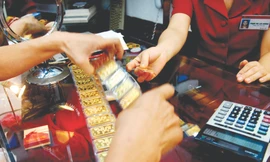 Nhà đầu tư nên 'bỏ trứng' vào đâu?