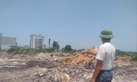 Khu vực ruộng của nhiều hộ dân ở xã Tăng Tiến bị đơn vị thi công mặt bằng Khu công nghiệp Việt Hàn đổ đất san lấp