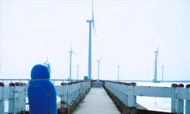 Loạt dự án điện gió chậm hòa lưới điện: Phơi nắng, chờ gỡ khó