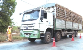 Cảnh sát Giao thông Gia Lai nỗ lực đảm bảo an toàn giao thông vụ mía