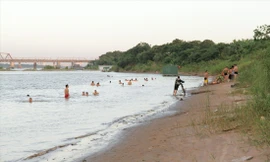 Chuyên gia Pháp hiến kế để Hà Nội có rừng trong phố 