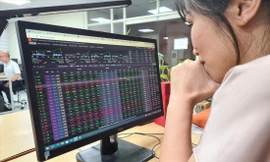 Nhiều nhà đầu tư chứng khoán bị mất tiền bởi những tin đồn thất thiệt về lãnh đạo các tập đoàn lớn. Ảnh: Hữu Việt 