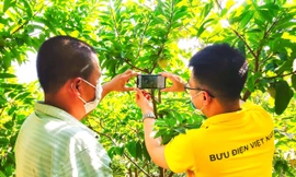 Hỗ trợ người nông dân đưa các sản phẩm lên sàn TMĐT 