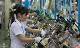 Doanh nghiệp lội ngược dòng 