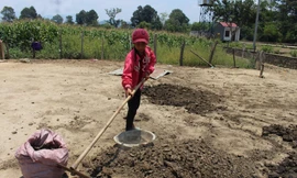 Em nhỏ người M’nông phơi phân bò giúp gia đình