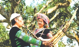 Khèn Mông giữa đại ngàn 