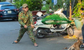Mạnh tay với chó thả rông 