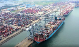 Đội tàu VIMC mang lại lợi nhuận lớn cho doanh nghiệp năm 2021. Ảnh: VIMC 