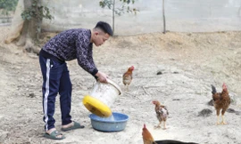 Cầu nối hoàn lương 