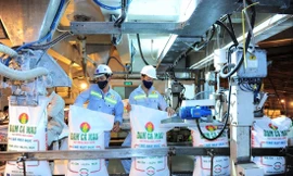 Các DN phân bón thu lợi nhuận khủng khi giá bán đang lập mốc lịch sử 