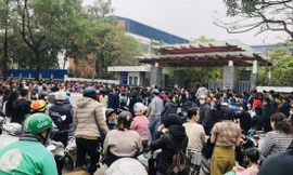 Nóng bỏng cuộc đua tuyển sinh vào lớp 6, nhiều học sinh mệt mỏi, kiệt sức