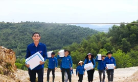 Trên đại công trường 500kV mạch 3 - Bài 6: Sắc xanh tình nguyện